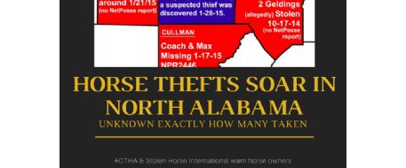 Alabama Gets Hit Hard With Horse Theft